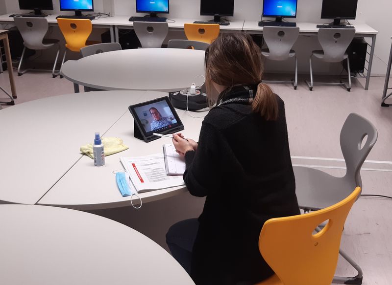 Berufsberatung im Videochat