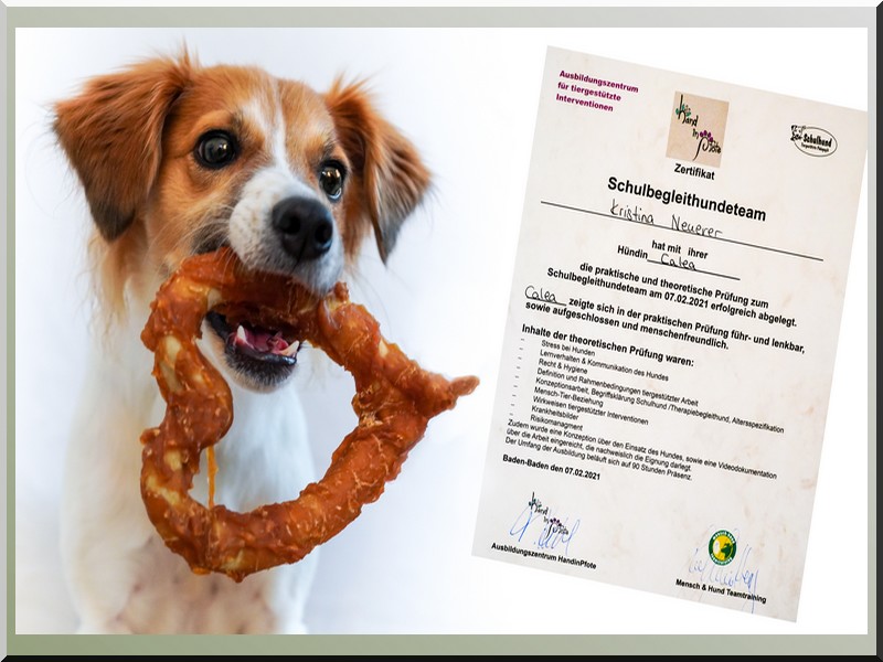Glückwunsch zur bestandenen Prüfung