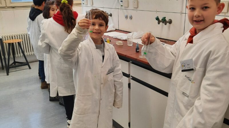 Forschen im Fehling-Lab