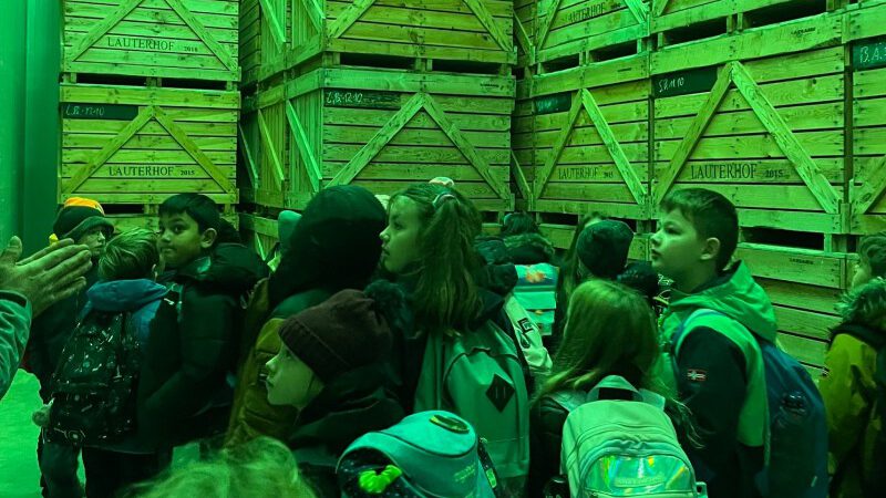 Grünes Licht für die Viertklässler