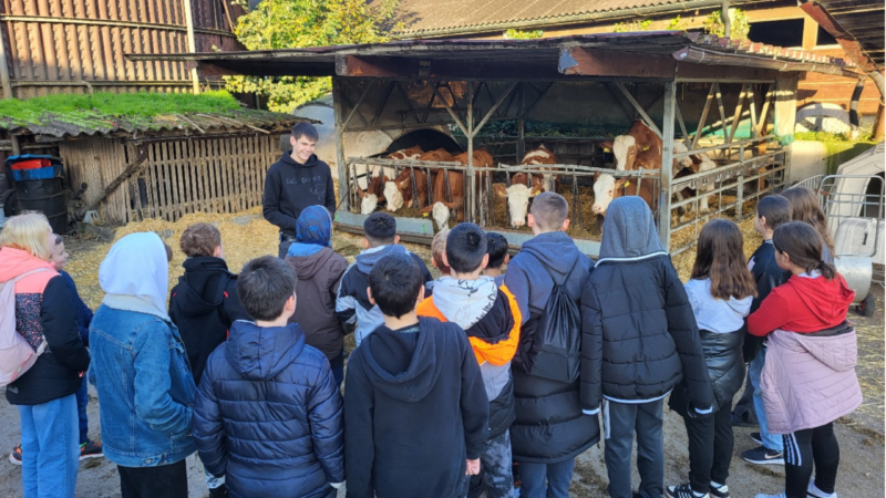 Besuch auf dem Bauernhof