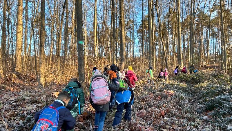 Freude auf den Winter