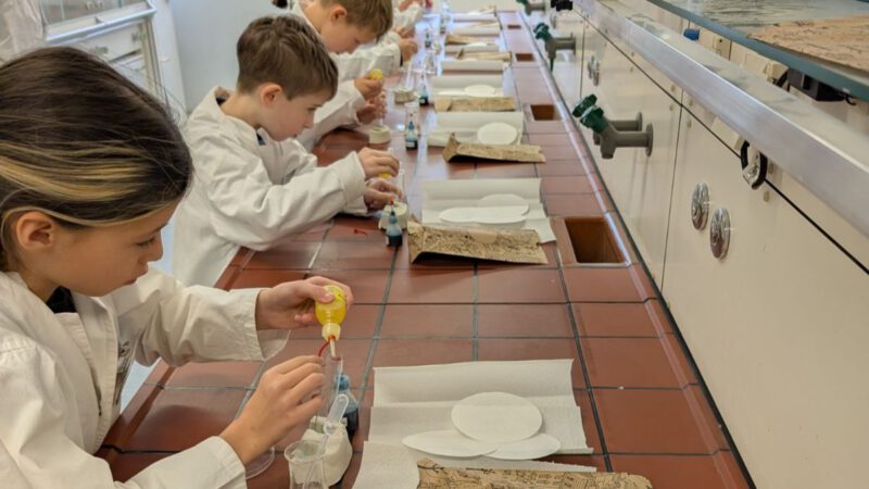 Die Klassen drei im Fehling-Lab