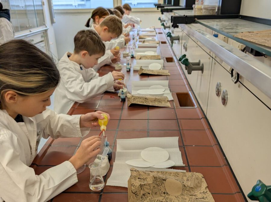 Die Klassen drei im Fehling-Lab